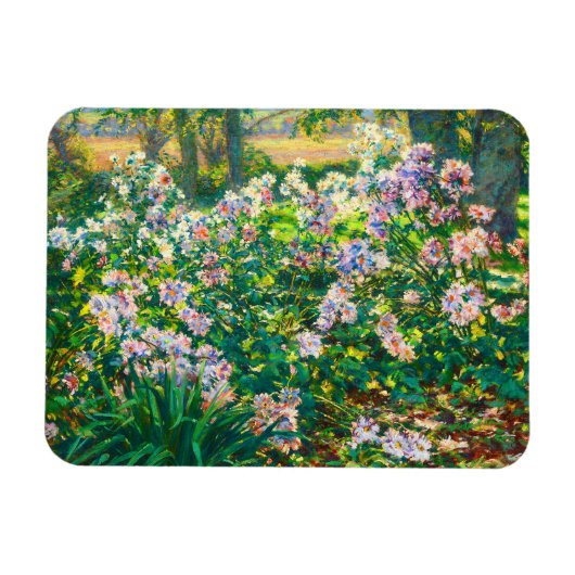 bloemen Windflowers illustratie Magneet (Horizontaal)