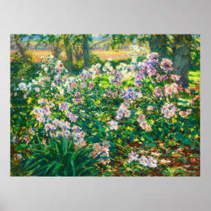   bloemen Windflowers illustratie Poster
