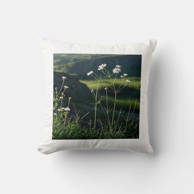 Bloemen Witte Daisy Natuur Landschap Kussen (Voorkant)