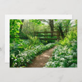 Bloemen | Witte wilde bloemen in de bossen Bedankkaart (Voorkant / Achterkant)