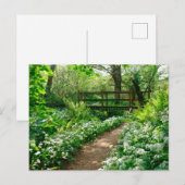 Bloemen | Witte wilde bloemen in de bossen Briefkaart (Voorkant / Achterkant)