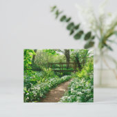 Bloemen | Witte wilde bloemen in de bossen Briefkaart (Staand voorkant)