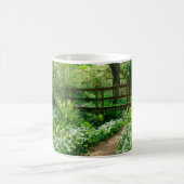 Bloemen | Witte wilde bloemen in de bossen Koffiemok (Center)