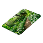 Bloemen | Witte wilde bloemen in de bossen Magneet (Linkerzijde)