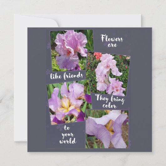 Bloemen zijn als vrienden (Voorkant)