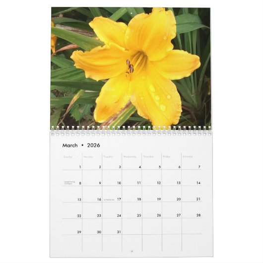 Bloemen zijn de kalender van 2026 (Mar 2026)