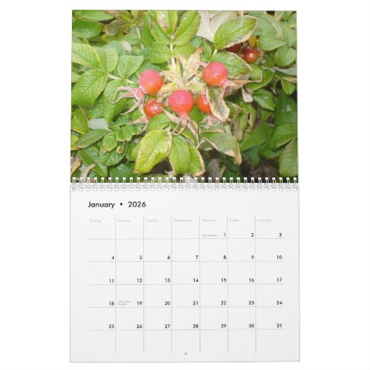 Bloemen zijn de kalender van 2026 (Jan 2026)