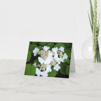 "Bloemen zoals Vlinders " Kaart