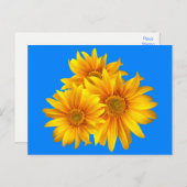 Bloemen Zonnebloem Gele bloemen Blauwe lucht Briefkaart (Voorkant / Achterkant)