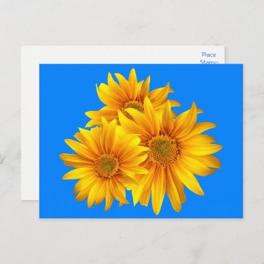 Bloemen Zonnebloem Gele bloemen Blauwe lucht Briefkaart (Voorkant / Achterkant)