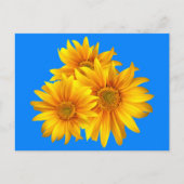 Bloemen Zonnebloem Gele bloemen Blauwe lucht Briefkaart