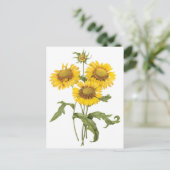 bloemen zonnebloem met bloemen door roodoute briefkaart (Staand voorkant)