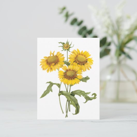  bloemen zonnebloem met bloemen door roodoute briefkaart (Staand voorkant)