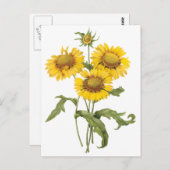  bloemen zonnebloem met bloemen door roodoute briefkaart (Voorkant / Achterkant)
