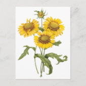  bloemen zonnebloem met bloemen door roodoute briefkaart (Voorkant)