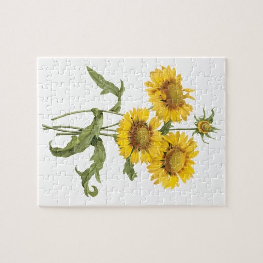 bloemen zonnebloem met bloemen door roodoute legpuzzel (Horizontaal)
