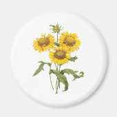  bloemen zonnebloem met bloemen door roodoute magneet (Voorkant)