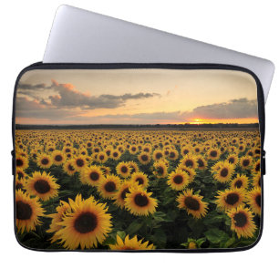 Bloemen   Zonnebloemveld Laptop Sleeve