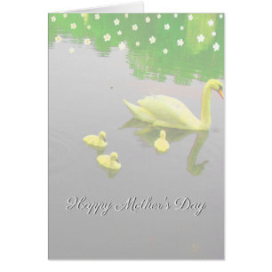 Bloemen & Zwanenmeer Moederdag 