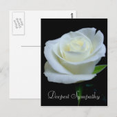 Bloemen Zwart en Witte Roos Diepste Sympathie Briefkaart (Voorkant / Achterkant)