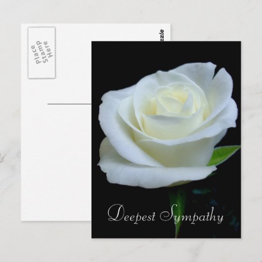 Bloemen Zwart en Witte Roos Diepste Sympathie Briefkaart (Voorkant / Achterkant)