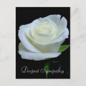 Bloemen Zwart en Witte Roos Diepste Sympathie Briefkaart (Voorkant)