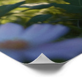 *~* Bloemen Zwart Kitty Cat 5:4 katje Poster (Hoek)