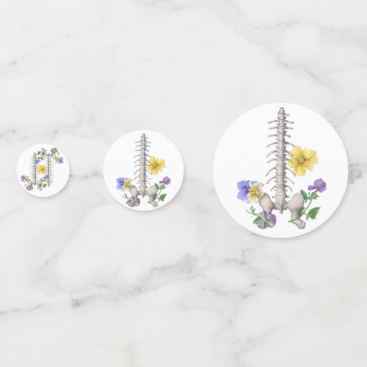 Bloemenanatomie - wervels, heupbot confetti (Achterkanten)