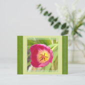 Bloemenansichtkaart Briefkaart (Staand voorkant)