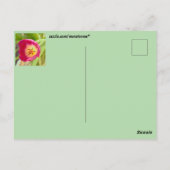 Bloemenansichtkaart Briefkaart (Achterkant)