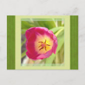 Bloemenansichtkaart Briefkaart (Voorkant)