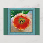 Bloemenansichtkaart Briefkaart (Voorkant)