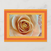 Bloemenansichtkaart Briefkaart (Voorkant)