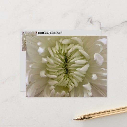Bloemenansichtkaart Briefkaart (Voorkant / Achterkant in situ)