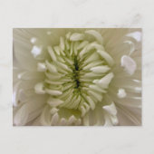 Bloemenansichtkaart Briefkaart (Voorkant)