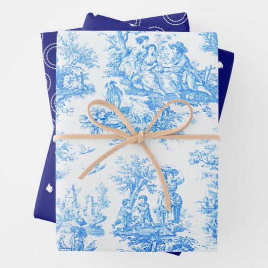  bloemenblauwe turquoise toile jouy inpakpapier vel (In situ)