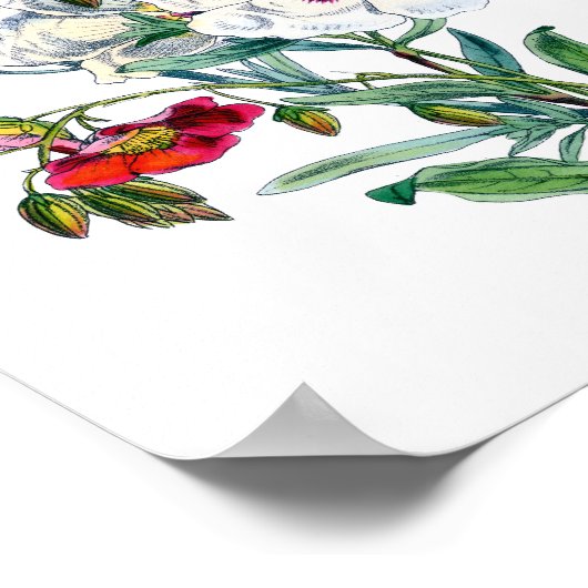  bloemenboeket Waterverf Poster (Hoek)