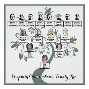 Bloemenboom Groen Silhouet Family Tree Foto's Perfect Poster