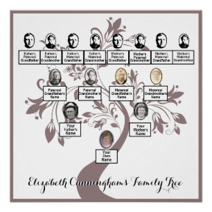 Bloemenboom Plum Silhouette Family Tree Foto's Perfect Poster