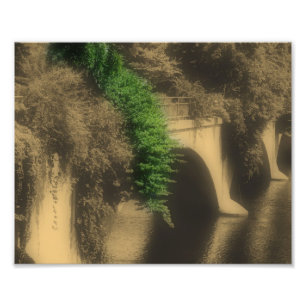 Bloemenbrug Partiële Kleur 8x10 Foto Afdruk