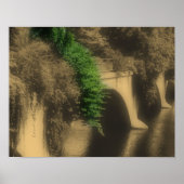 Bloemenbrug  Partiële Kleur Poster (Voorkant)