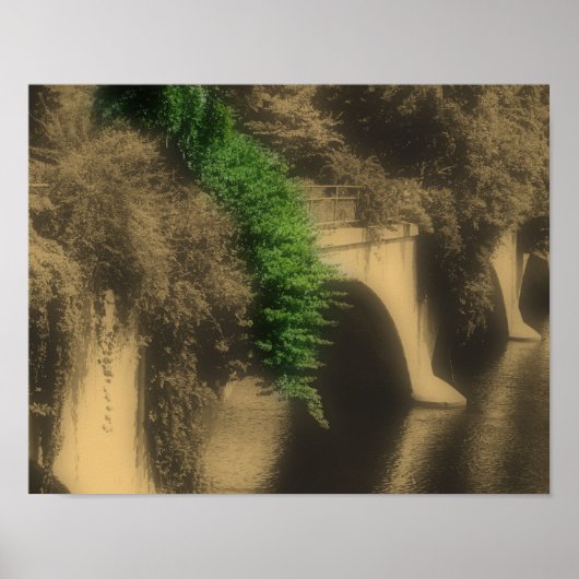 Bloemenbrug Partiële Kleur Poster (Voorkant)