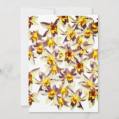 Bloemenbruiloft Kaart, gele narcissen Kaart (Achterkant)
