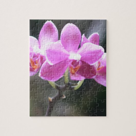 Bloemencollectie Legpuzzel (Verticaal)