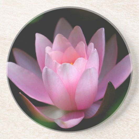 bloemencoster zandsteen onderzetter (Voorkant)