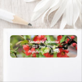 Bloemend Quince Red Blossom Adres Etiket (Insitu)