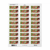 Bloemend Quince Red Blossom Adres Etiket (Full Sheet)