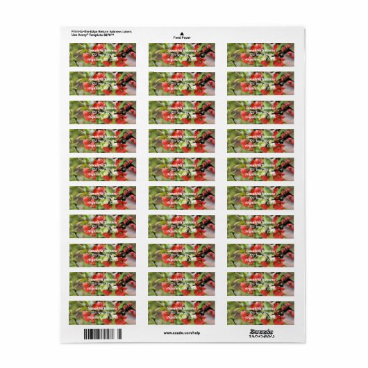Bloemend Quince Red Blossom Adres Etiket (Full Sheet)