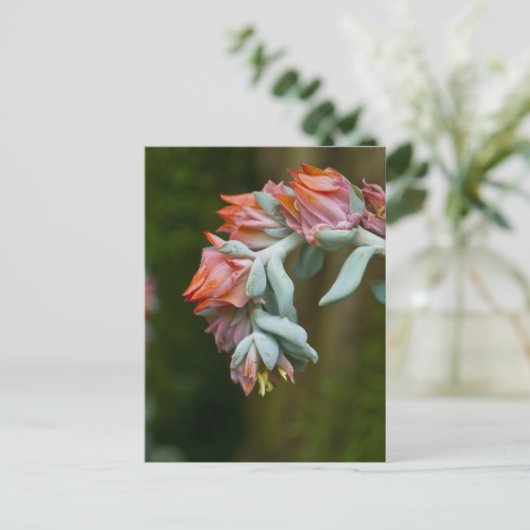 Bloemend Succulent Briefkaart (Staand voorkant)