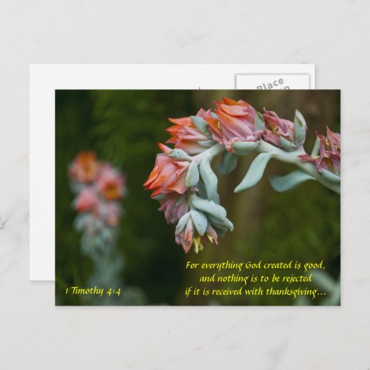 Bloemend Succulent Feestdagenkaart (Voorkant / Achterkant)